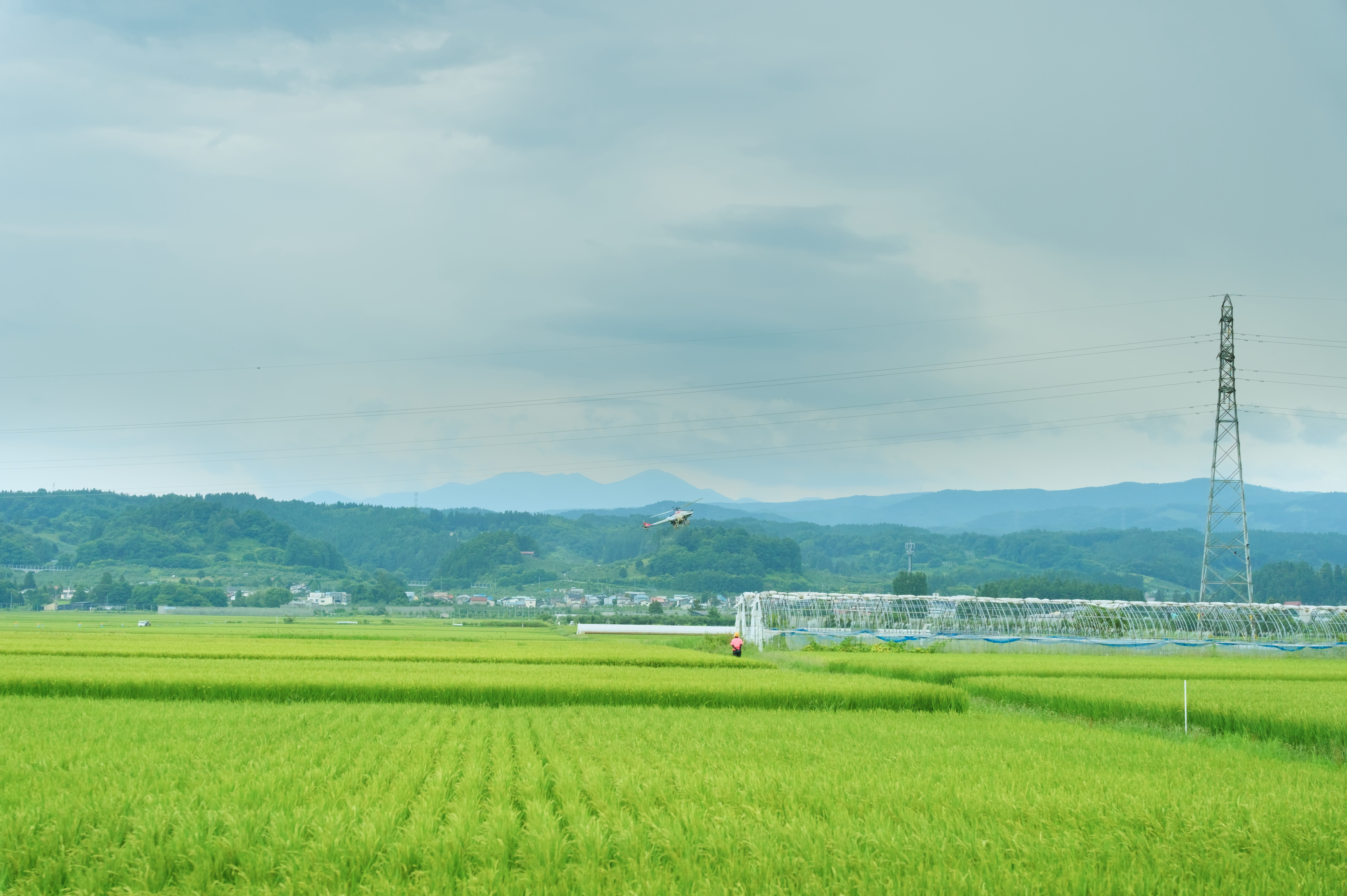 Agricultural drone deployed over a green Japanese rice paddy with mountains in the distance, real-world commercial operation