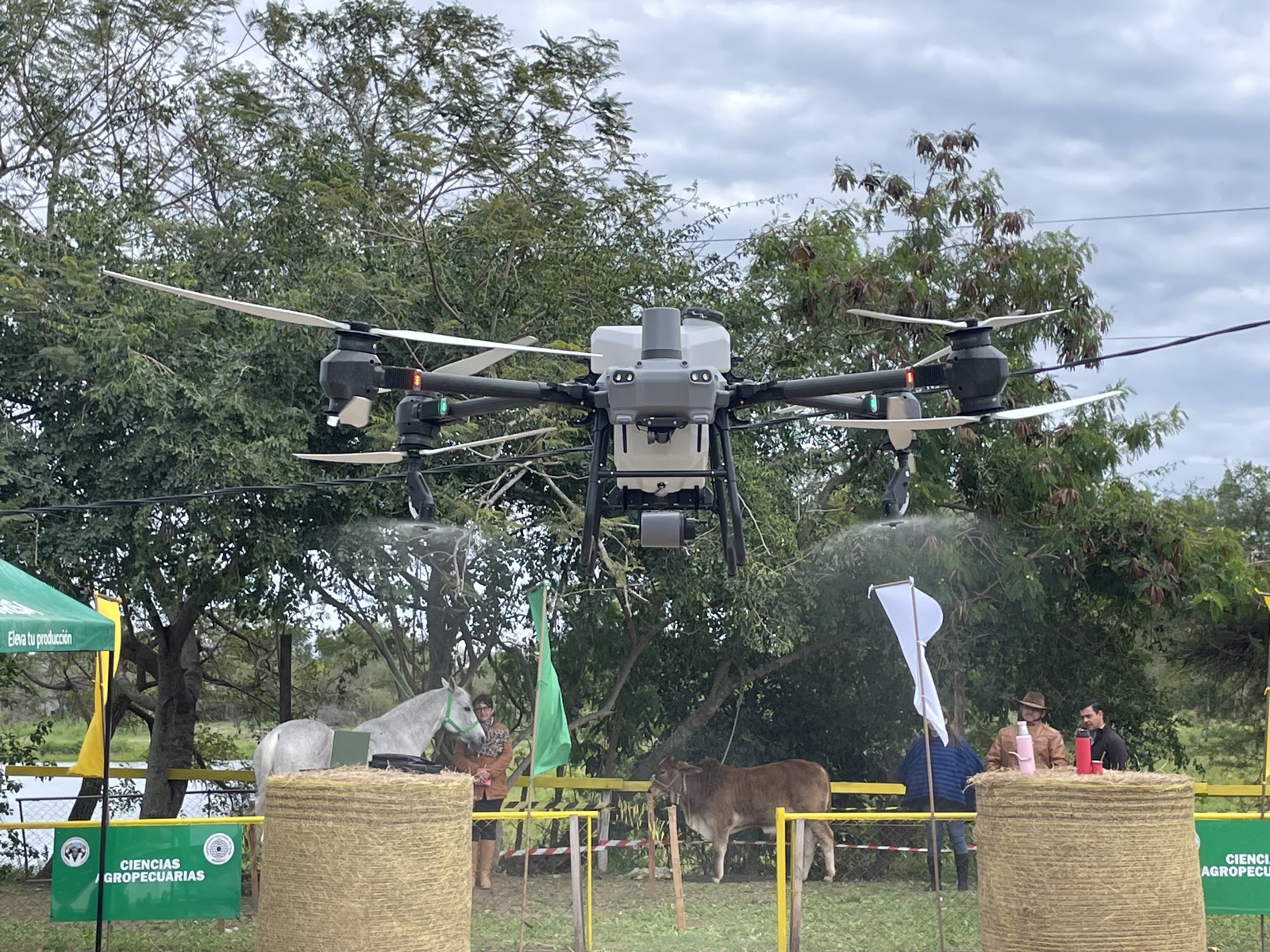 DJI Agras T50 agricultural drone spraying at a field demonstration